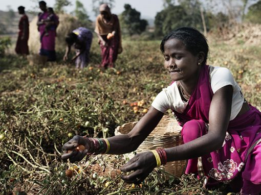 Les femmes, des atouts pour le développement