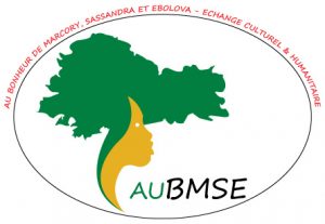 Logo AuBMSE