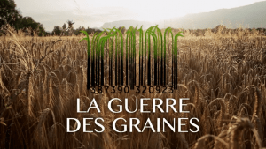 Guerre des graines