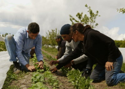 Pour consommer des produits locaux, faites le plein d’idées